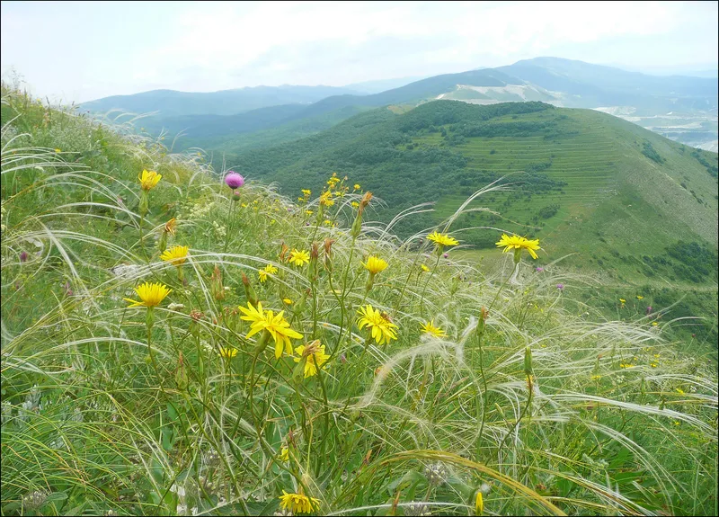 Чёрное море, горы и станицы